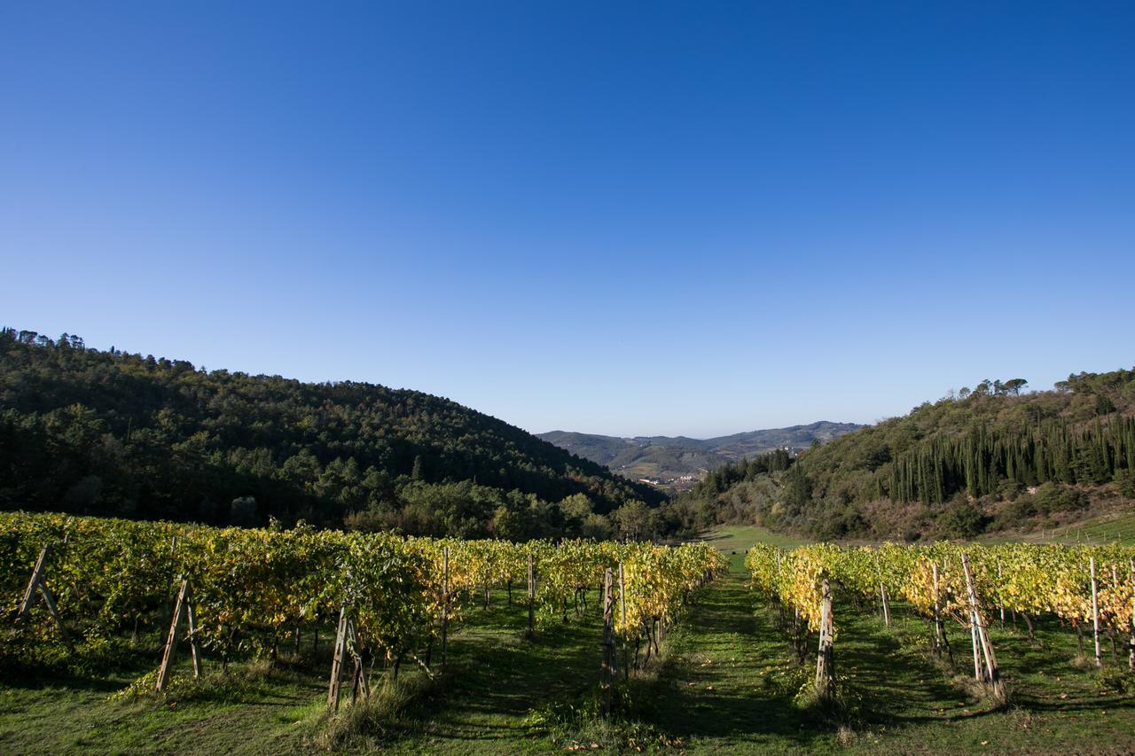 Ferienwohnung Casa Marina Greve in Chianti Exterior foto